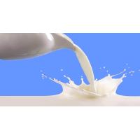 ราคา หัวน้ำหอมกลิ่นMilk Touch หัวน้ำหอมแท้100 หัวน้ำหอมใส่สบู่ หัวน้ำหอมใส่ครีม ใส่โลชั่น ขนาด30ML 100ML (19280390475)