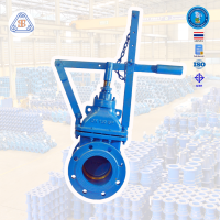 ราคา ประตูน้ำก้านยก Gate valve (18074911213)