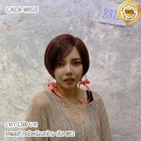 ราคา วิกผมแท้ วิกผมแท้ทอมือเสกข้าง ฟ้าใสวิกผม CALAWIGS 2020 วิกผมแท้ ทอมือหนังเสกข้าง รหัส 8812 (4002048845)