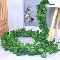 ราคา 12ชิ้น แพ็ค2 4เมตรใบใหญ่พวงหรีดกำแพงไม้เถาไม้เลื้อยใบไม้สีเขียวเทียมแขวนในสวนแนวตั้งพวงหรีดปลอมใบไม้ปลอมตกแต่งบ้านวันเกิดงานปาร์ตี้หวายพลาสติก (20946130182)