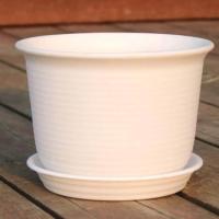 ราคา กระถางต้นไม้ พร้อมจานรอง 3 ขนาด 5013 (20647588617)