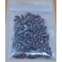 ราคา ขายส่ง 100 เมล็ด เมล็ดสนจูนิเปอร์ บอนไซ Bonsai สนเลื้อย ไม้ดัด ไม้โขด ไม้แคระ ไม้มงคล สมุนไพร ไม้จิ๋ว ไม้หัว ไม้แปลก พันธ์ไม้ ต้นไม้ (21021880737)