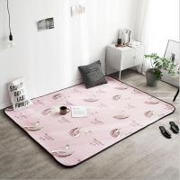 ราคา พรมขนนุ่ม พรมปูพื้น ผ้าปูพื้น ขนาด 120x200cm 150x200cm ความหนา 1 8 ซม (4730436024)