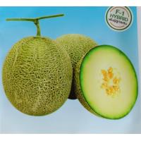 ราคา เมล็ดพันธุ์ แตงโม เมล่อน แคนตาลูป ทุกสายพันธุ์ 10 50 เมล็ด แตงโม แตงโมเหลือง แตงโมดำ แตงโมไร้เมล็ด (20959630107)