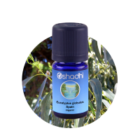 ราคา Oshadhi Eucalyptus globulus Spain organic essential oil 10 ml (4548284469)