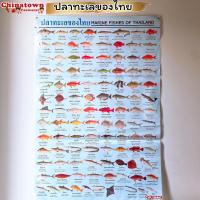 ราคา โปสเตอร์ นับเลขจีน ตัวเลข 1 100 โปสเตอร์สื่อการเรียนรู้ เรียนจีน สมุดคัดจีน สูตรคูณ ฝึกพูดจีน ท่องจำ สอนเด็ก อนุบาล (19493802131)