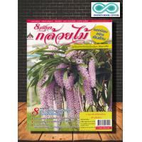 ราคา หนังสือเกษตร 8 สกุล กล้วยไม้ยอดนิยม สร้างเงินล้าน กล้วยไม้ ไม้ดอก การปลูกกล้วยไม้ การขยายพันธุ์พืช Infinitybook Center (16003927045)