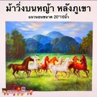 ราคา รูปภาพมงคล ม้า8ตัวก้าวหน้า ม้า8เซียน ม้าสีขาว ขนาด16x20นิ้ว 40 6x50 8 ซม แก้เคล็ด เสริมฮวงจุ้ย มงคล เสริมดวง มังกร เรือ (14709661929)