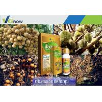 ราคา แอมโกรว์ผง 6 กล่อง (17983464485)