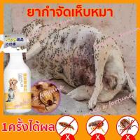 ราคา MOLTONสเปรย์กำจัดเห็บหมา สเปรย์เห็บหมัดหมา สเปรย์หยอดเห็บหมัด สเปรย์ฆ่าเห็บหมัด สำหรับแมวและสุนัข กำจัดไร เหา และหมัดออกจากสัตว์เลี้ยง (14520611462)