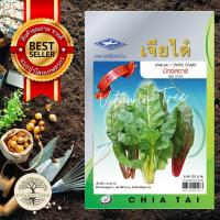 ราคา เมล็ดพันธุ์ บีท สวิสชาร์ด มิกซ์สตาร์ Swiss Chard เมล็ด ต้นไม้ เมล็ดผัก ดอกไม้ ผัก ผักสวนครัว สลัด เมล็ดพันธุ์พืช (10038742330)