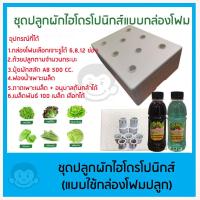 ราคา ชุดกล่องโฟมปลูกผักไฮโดรโปนิกส์ ปลูกผักไร้ดิน 6 ช่อง 8 ช่อง 12 ช่อง ชุดคุณภาพ (8993217596)