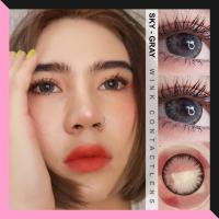 ราคา คอนแทคเลนส์ Wink Sky eff19 ตาโต ลายฮิต ลายใหม่ ของ Tiktok ลายดัง สีเทา สีน้ำตาล (7444810063)