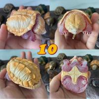 ราคา bighead series snipping turtle figurines recast โมเดลเต่าตัวเล็ก (14422396728)
