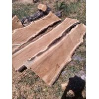 ราคา KDAUZไม้แผ่นเดียว แผ่นไม้สะเดา รูปทรงไม้ ลายไม้สวยตามธรรมชาติ ไม้แผ่นไว้ทำโต๊ะกลาง โต๊ะข้าง ป้ายชื่อ ป้ายร้าน โต๊ะกาแฟ โต๊ะไม้สะเดา (19545896134)