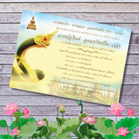 ราคา การ์ดงานบวช แพ็ค 50 ใบ การ์ด การ์ดงานบุญ งานบวช การ์ดเชิญงานบวช การ์ดงานบวช5x7 นิ้ว การ์ดงานบวชพร้อมซอง ราคาถูก (14481369481)
