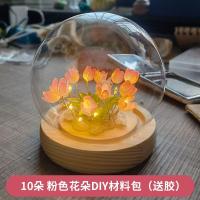 ราคา Night Light Tulip Small Night Lamp DIY Material Package Birthday Gift for Girls Boys Holiday Gift Suit Creative Gift Light (20988381326)