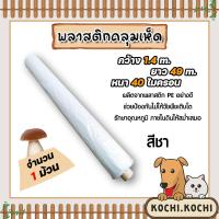 ราคา พลาสติกคลุมเห็ด สีขาวใส 1 10 ม้วน ยาว 49 เมตร หนา 40 ไมครอน กว้าง 1 4 เมตร 2 5kg พลาสติกปลูกเห็ด ผ้าคลุมเห็ด เห็ดนางฟ้า เห็ดฟาง ผ้าคลุมเห็ด (20799450808)