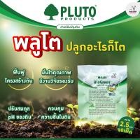 ราคา พลูโตไบโอกรีน สารปรับปรุงดิน ขนาด 2 5 กรัม 10 เม็ด (7623650424)