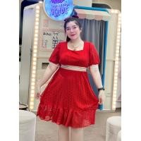 ราคา เดรสลูกไม้ เดรสสาวอวบ ผ้าฉลุลูกไม้ มีซับในแต่งนิราสวยๆ ฮ691 (21165266495)