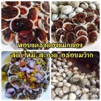 ราคา พร้อมส่ง หอยแครงดองน้ำปลากวน สูตรแม่กลอง ขนาด 700 กรัม รสชาติเค็มหวาน กำลังดี หอยแครงดอง หอยแครง ของฝาก แม่กลอง (11547970327)