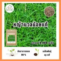 ราคา เมล็ดพันธุ์ หญ้านวลน้อยแท้ บรรจุ 10000 เมล็ด (21035331389)
