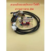 ราคา สายหลักของสกู๊ตเตอร์ไฟฟ้า 2ล้อ จักรยานไฟฟ้า (12800024601)