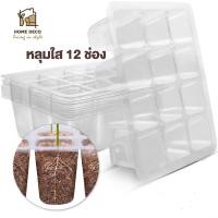 ราคา Grow Smart หลุมใส12ช่อง ถาดเพาะกล้า กระถางเพาะชำ กระถางต้นอ่อน ถาดใส12หลุม transparent plastic seedling pot (21034456531)