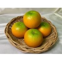 ราคา พร้อมส่ง ส้มเขียวหวานปลอม โมเดลส้มเขียวหวาน ผลไม้ปลอมพลาสติก สำหรับตกแต่งบ้าน 1 ลูก (15822972101)
