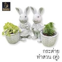 ราคา กระต่ายทำสวน ชายหญิง คู่ กระถาง ปูนปั้น จัดสวน ประดับสวน แต่งสวน ใส่ต้นไม้ Bunny Brown (10179756602)