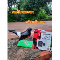 ราคา นกบินหลาดง พร้อมเสียงเมม หุ่นพร้อมเสียง เสียงใส มีเก็บเงินปลายทาง (19998053543)