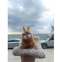 ราคา ตุ๊กตาดูดกลิ่น ตุ๊กตาดับกลิ่นน้องกระต่าย ดูดกลิ่นอับในรถในบ้าน ดูดกลิ่นไม่พึงประสงค์ 3สี (17135862318)