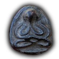 ราคา พระปิดตา หลวงพ่อเชย วัดท่าควาย 泰国佛牌 Thai Amulets (13999576338)