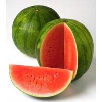 ราคา เมล็ดแตงโมโนรี 15 เมล็ด ซื้อ10แถม1 คละได้ (15789847150)