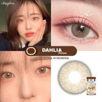 ราคา คอนแทคเลนส์ Dahlia สีGray Brown Maya Lens ขนาดกลาง (20311581756)