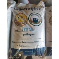 ราคา ข้าวมะลิดอกข15 ข้าวดอกข15 25 KG เมล็ดพันธุ์คัดพิเศษ กข15 (21182601142)