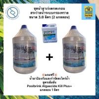 ราคา น้ำยาเร่งตกตะกอน และปรับสภาพน้ำใส สระว่ายน้ำ ระบบกรองทราย ชุด 2 แกลลอน 3 8 ลิตร แถมฟรี น้ำยาป้องกันและกำจัดตะไคร่ เข้มข้น 1 ลิตร (20779519897)