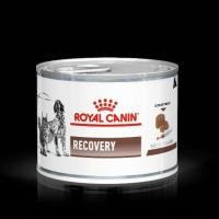 ราคา Royal Canin Recovery 195g อาหารสัตว์ป่วย หรือพักฟื้น สุนัข และแมว 1 กระป๋อง (20569031555)