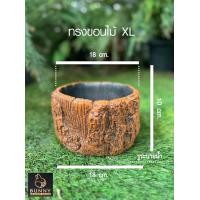 ราคา กระถางลายเปลือกไม้ SIZE XL ปูนปั้น จัดสวน ประดับสวน แต่งสวน กระถางใส่ต้นไม้ Bunny Brown (20023641341)