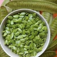 ราคา ใบกระถิน เมล็ดกระถิน ฝักกระถิน ออแกนิค ปลูกเองในพื้นที่ภาคอีสาน ปลอดสารพิษ แพ็คสูญญากาศ เก็บไว้ได้นาน (20686840399)