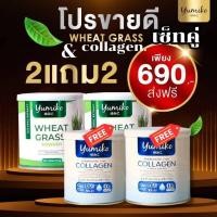 ราคา ส่งฟรี เซ็ทคู่ 2 แถม 2 4 กระปุก วีทกราส คลอโรฟิลล์ เพียวคอลลาเจน แบรนด์ ยูมิโกะ (20044338425)