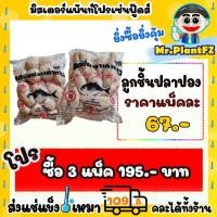 ราคา ลูกชิ้นปลาปอง กลมรักบี้ ตราเก้าดาว ส่งแช่แข็งราคาเหมา 109 บาท คละสินค้าได้ทั้งร้าน ไม่ต้องซื้อกล่องโฟม (20250704943)