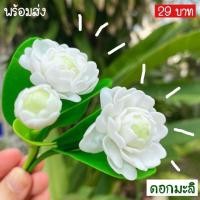 ราคา ดอกไม้ติดผม ดอกไม้ติดผมเจ้าสาว ดอกไม้ปักผม ดอกไม้ดินประดิษฐ์ ดอกไม้ประดิษฐ์ (13535087314)