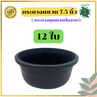 ราคา กระถางแขวน กระถางต้นไม้สำหรับแขวน ขนาด 7 5 นิ้ว ความกว้างปากกระถาง เบอร์8 กระถางชามเตี้ย สีดำ ทรงเตี้ย กระถางคุณนายตื่นสาย (20396159967)