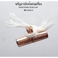 ราคา หลวงปู่อิ่ม วัดทุ่งนาใหม่ นครศรีธรรมราช ตะกรุดนารายณ์แปลงรูป เลื่อนสมณศักดิ์ 106ปี KP3900 (20838110277)