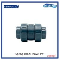 ราคา Astralpool Spring Check Valve 1 5 ป้องกันการไหลกลับ ชนิดสปริง (9054077439)