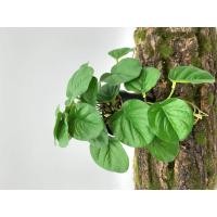 ราคา พร้อมส่ง ต้นไม้ปลอมสำหรับตกแต่งสวนต้นไม้ปลอมแขวนผนังลายนกยูงเต่าใบบีโกเนียบ้านระเบียงเถาดอกไม้สีเขียวกระถางหญ้า (20468334073)
