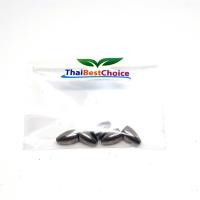 ราคา ตะกั่วตกปลา ตะกั่วทองเหลือง ตะกั่วทังสเตน ตะกั่วเท็กซัส Texas Rig Tangsten เดินหนอน ตกปลาช่อน (15940071825)