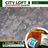 ราคา ปูนลอฟท์สำเร็จ สูตรครีม สีเทาเข้ม 10กก ใช้ได้ 20 25ตรม 2รอบ ปูนลอฟท์ สีลอฟท์ สีลอฟท์สำเร็จ ปูนลอฟท์ทาผนัง (12520900106)