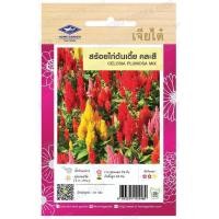 ราคา เมล็ดดอกไม้ เจียไต๋ เบญจมาศ คละสี ดาวเรืองฮันนี่โกลด์ ทานตะวันสีเหลือง สร้อยไก่ต้นเตี้ย คละสี (19850936537)